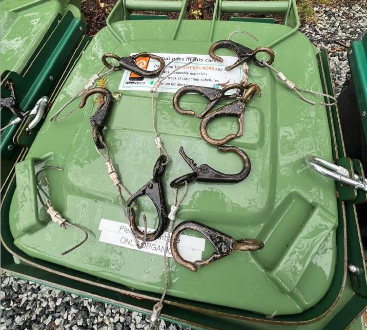 carabiners-broken-by-bears Broken brass carabiners are displayed on a garbage bin lid.