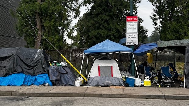 Why B.C. cities struggle to respond to the ongoing tent encampment problem Why B.C. cities struggle to respond to the ongoing tent encampment problem