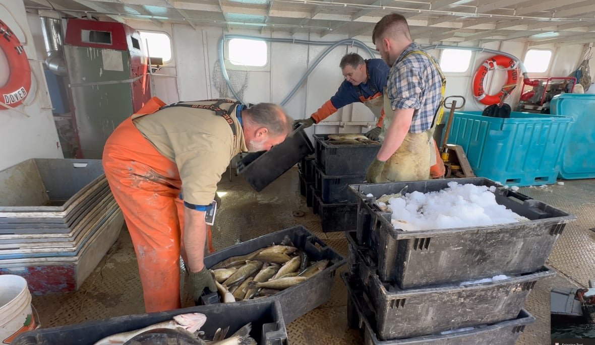 Three people in overalls box up fish on a boat.