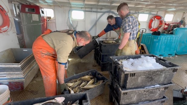 Lake Erie boat captains hope new documentary about them pulls back curtain on fishing for a living