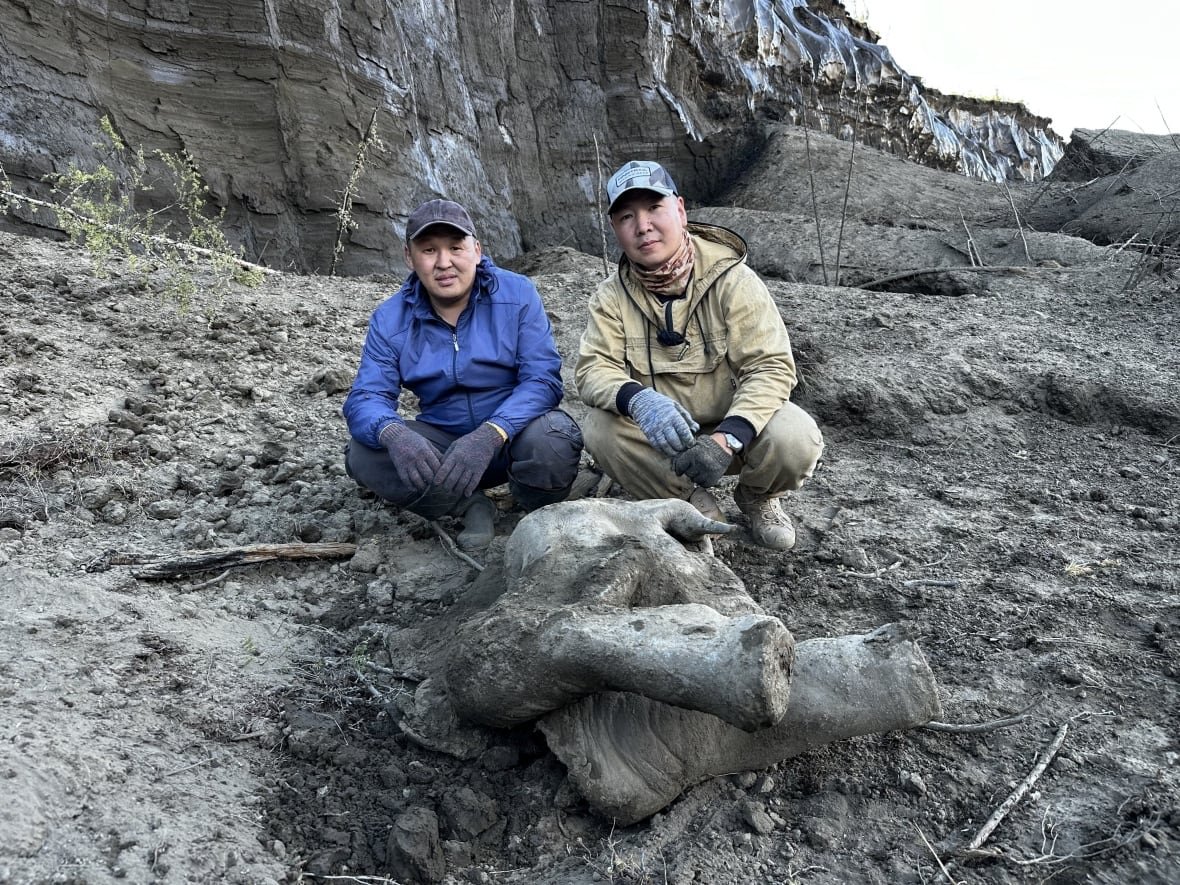 russia-permafrost-mammoth-1 Two men pose for a picture in front of a carcass of a baby mammoth.