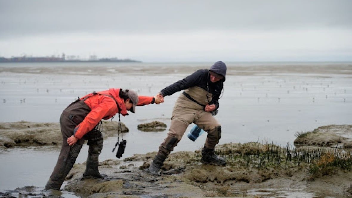 sandpipers-4 Sarika Cullis-Suzuki and Adam Ross explore the mud flats of Roberts Bank.
