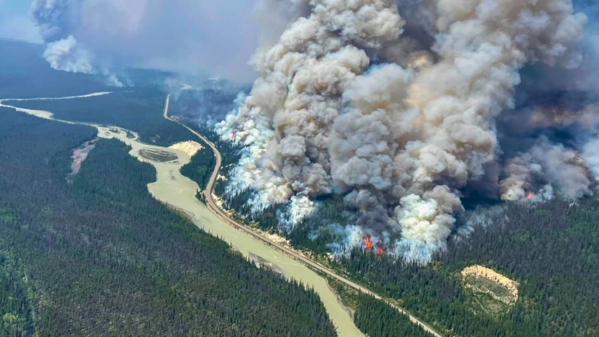 https://i.cbc.ca/ais/acd213d8-8aaa-4d5f-b0ea-e877251b0c20,1722644958482/full/max/0/default.jpg?t=1722651106049