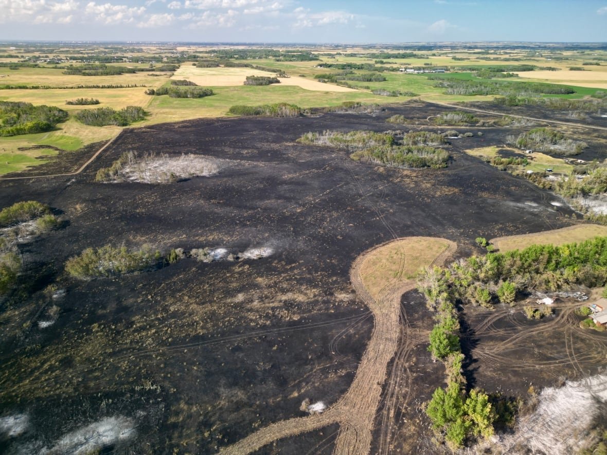 corman-park-fire An aerial photograph shows a large expanse of burned land.