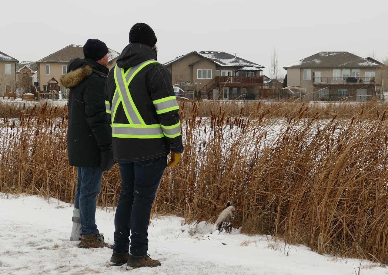 Two men stand in snow at the edge of a retention pond, a dead goose in front of them.