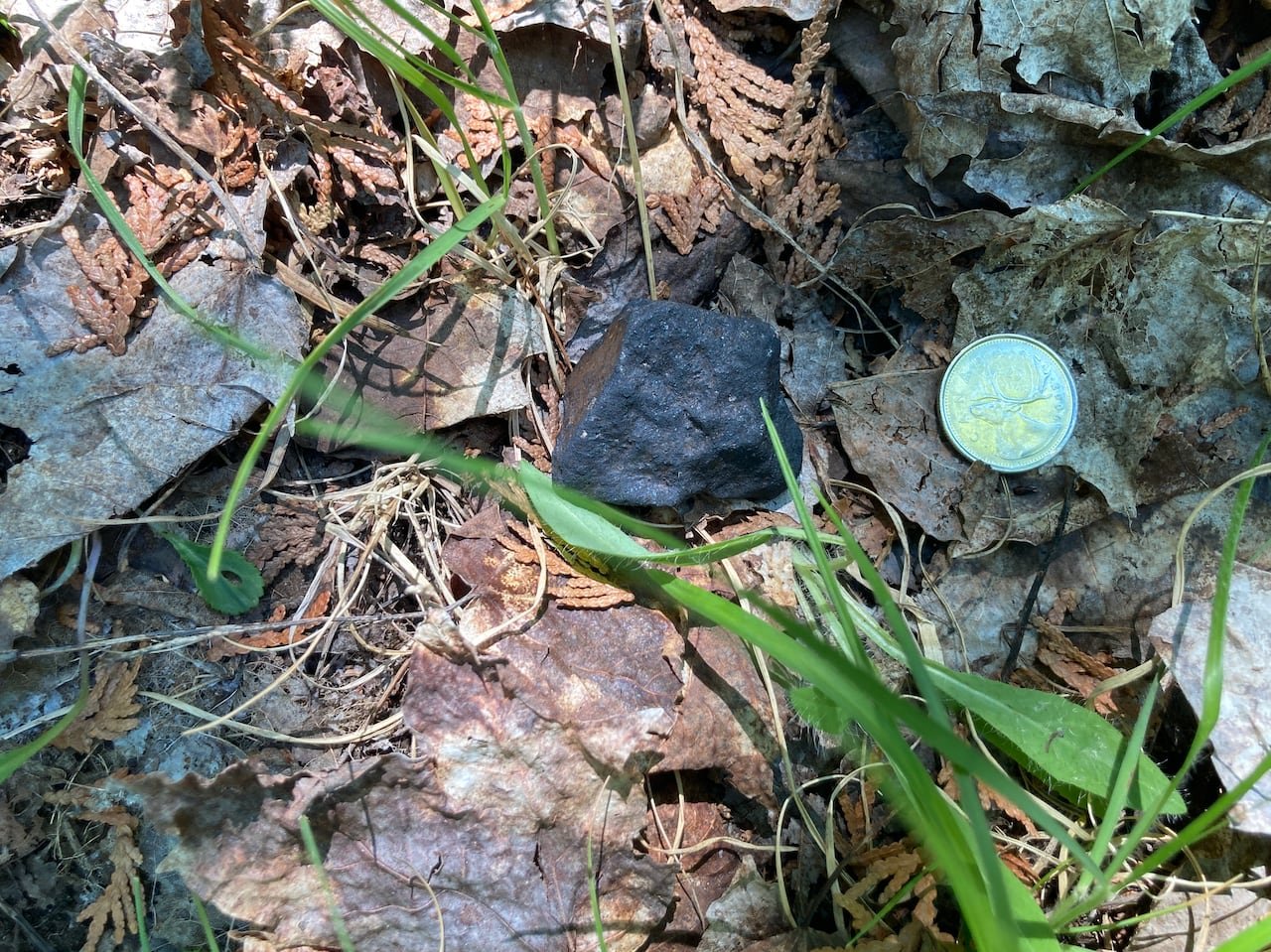 default-3132 Dark meteorite rock on the grass next to a coin.
