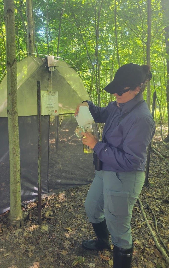 default-3414 woman with baseball cap pouring something into a jar in front of a tent in the woods